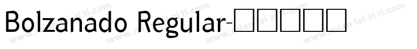 Bolzanado Regular字体转换